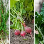 Why You Should Never Put a Tea Towel on the Oven Door
