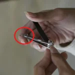 Don’t Discard the Flowers on Your Basil: Here are 8 Ways How to Use Them