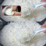 DIY 3 Ingredient Weed Killer