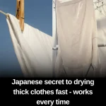 If You’re Not Using Castor Oil You’re Missing Out