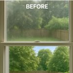 Eating fish: a habit that transforms your …