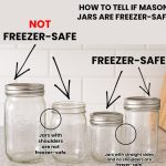 12 Herbs you Can Grow With Just Water all Year Round