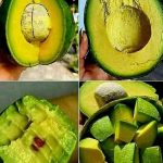 Tie Two Old Toothbrushes Together and Be Surprised What You Can Do