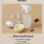 How to Make an Effective Homemade Herbicide for Your Garden and Say Goodbye to Weeds Naturally