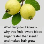 The Ultimate Guide to Beetroot: Benefits, Uses, and Creative Ways to Enjoy It