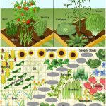 10 Powerful Benefits of Castor Leaves You Probably Didn’t Know About