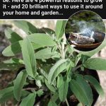 Easy Italian Apple Pie (Crostata di Mele)