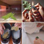 Even if they are given for free, you shouldn’t take them