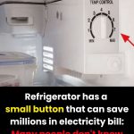 Arby’s Launches Steak Nuggets Nationwide, A Meaty New Take on Fast Food Protein