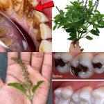 Always Place Your Fence with the Front Facing Your Neighbor! Here’s Why