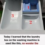 EGGS AND POTATOES NEVER TASTED SO GOOD!