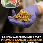 Easy High Protein Peanut Butter Balls