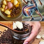 Crispy Cups Recipe: No-Bake Chocolate and Peanut Butter Treats