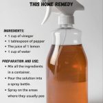 Drinking water from a copper mug helps to: