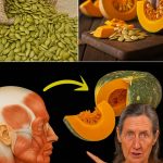 Say Goodbye to Dog and Cat Urine with This Home Remedy