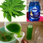 Don’t Drink Coconut Water Before You Know These 13 Secrets