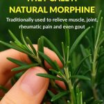 Wow, I had no idea you could make bread with just 2 ingredients!