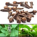 After 70 years, this common mistake ruins your circulation