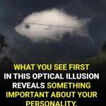 These common myths might surprise you — and the facts could change the way you eat