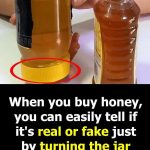 Doctors Reveal That Eating Avocados