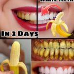 You are doing it all wrong. Here’s the right way to use fallen leaves in winter