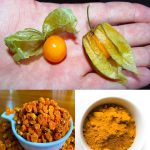 Boil eggshells and say goodbye to the …