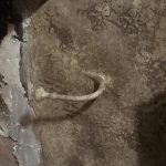 The Best Types of Apples for Baking, Sauces, Snacking & More