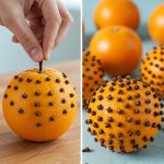 How to get rid of rats using Vick Vaporub, a method that works!