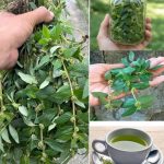 Never Throw Away These 4 Things From Their Closet After the Funeral