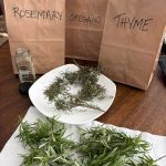 Lemon and Apple: A Healthy Duo for Wellness and Vitality