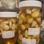 Caramelized Figs (4-Ingredients Only!)