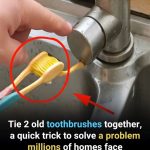 Doctors reveal that eating avocado can cause ….