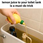 The Ultimate Guide to Beetroot: Benefits, Uses, and Creative Ways to Enjoy It