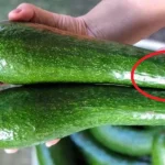 How to remove odors and dirt from electric kettles very simply: If you don’t know, it’s a waste