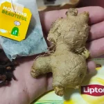 Honey, lemon and ginger: How to prepare it