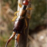 If you want to be happy as you get older, say goodbye to these 12 behaviors