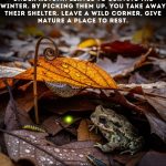 Air Conditioning in Cars Banned While Parked – Fines Up to $518: Here’s When and Why