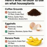 Say goodbye to ants, cockroaches, bed bugs & mosquitoes