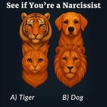 The Cake You Pick Reveals What Kind Of Woman You Are