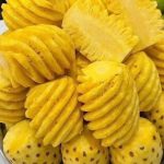 Chenopodium Album (Lamb’s Quarters): Discovering its Nutritional and Medicinal Proficiencies