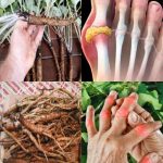 Doctors Reveals That Eating Apples Causes