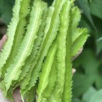 Don’t Ch.eat. Pick A Cake To Reveal Your Truest Trait