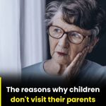 Ginger on Your Feet: A Surprising Health Booster