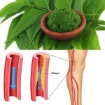 7 Benefits of the Miracle Leaf of Life You Should Know About!