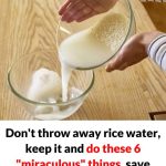 How to Make Your Own Rose Water at Home