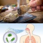 Tasty and Light: Spinach Crêpes Ready in Just 5 Minutes — Perfect Even for Those on a Diet!