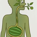 How Eating This Food Affects Elderly Health