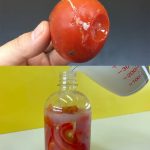 Grow Date Trees From Seed (Start in a Pot → Plant Outdoors): The Complete, No-Stress Guide