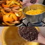 The Hidden Power of Lactuca serriola Root (Prickly Lettuce Root)