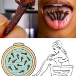 How to Grow Oranges in Pots: A Complete Guide to Home Citrus Growing